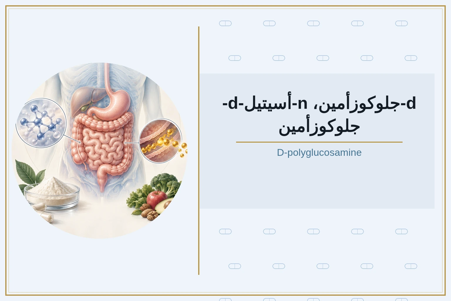 d-جلوكوزأمين، n-أسيتيل-d-جلوكوزأمين | D-polyglucosamine