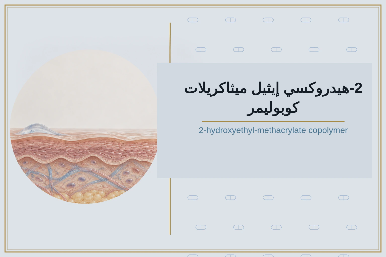 2-هيدروكسي إيثيل ميثاكريلات كوبوليمر | 2-hydroxyethyl-methacrylate copolymer
