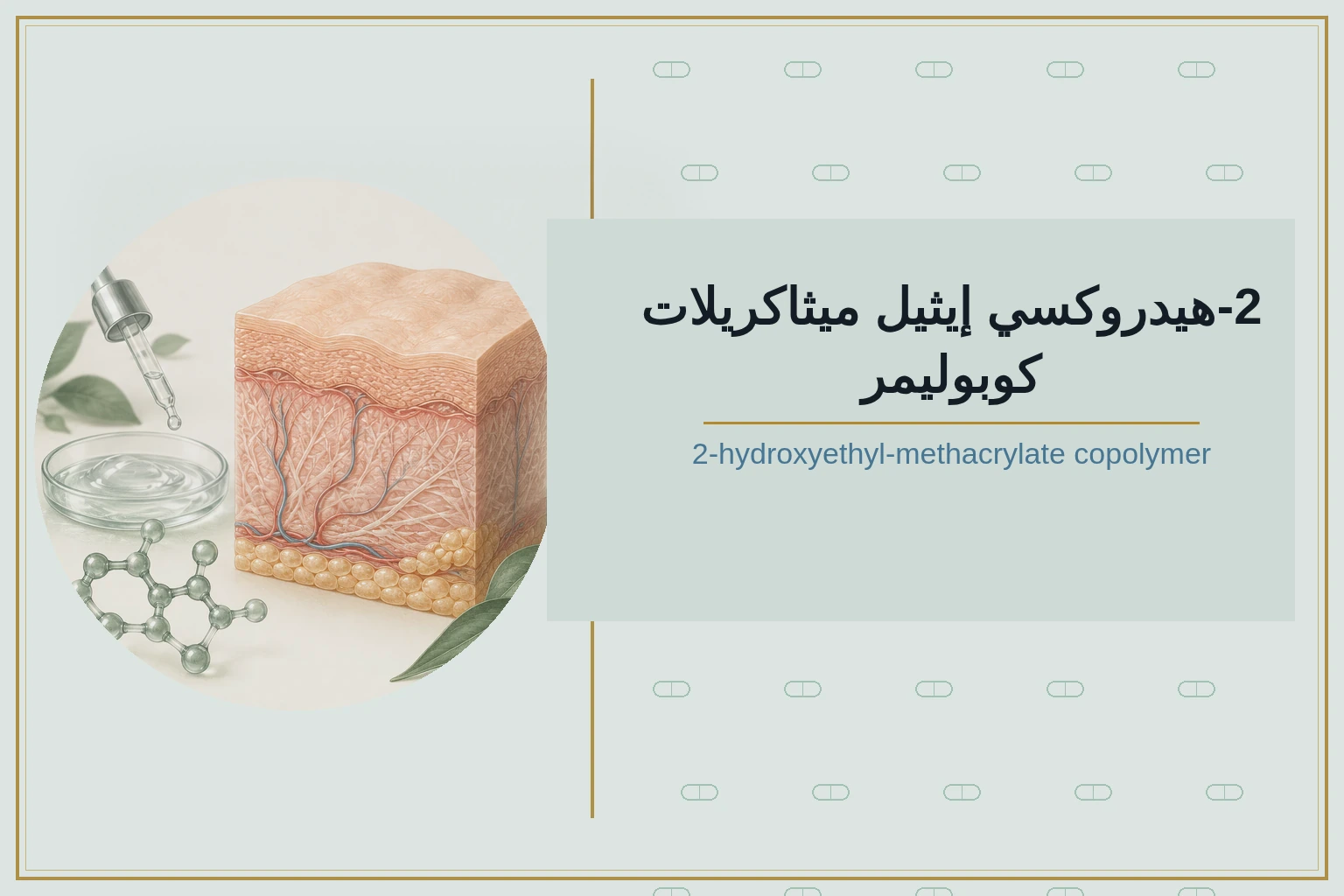 2-هيدروكسي إيثيل ميثاكريلات كوبوليمر | 2-hydroxyethyl-methacrylate copolymer