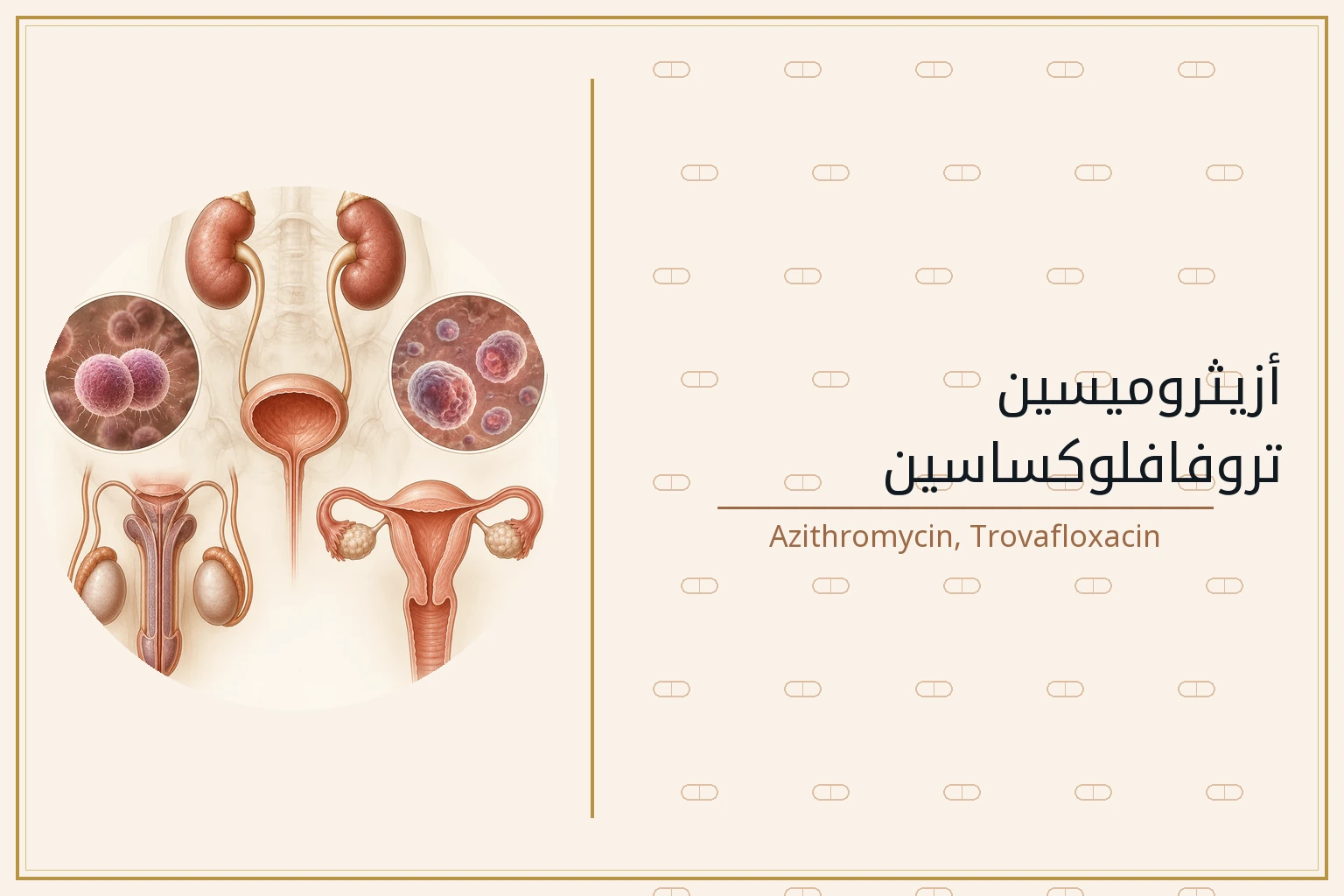 أزيثروميسين، تروفافلوكساسين | Azithromycin, Trovafloxacin