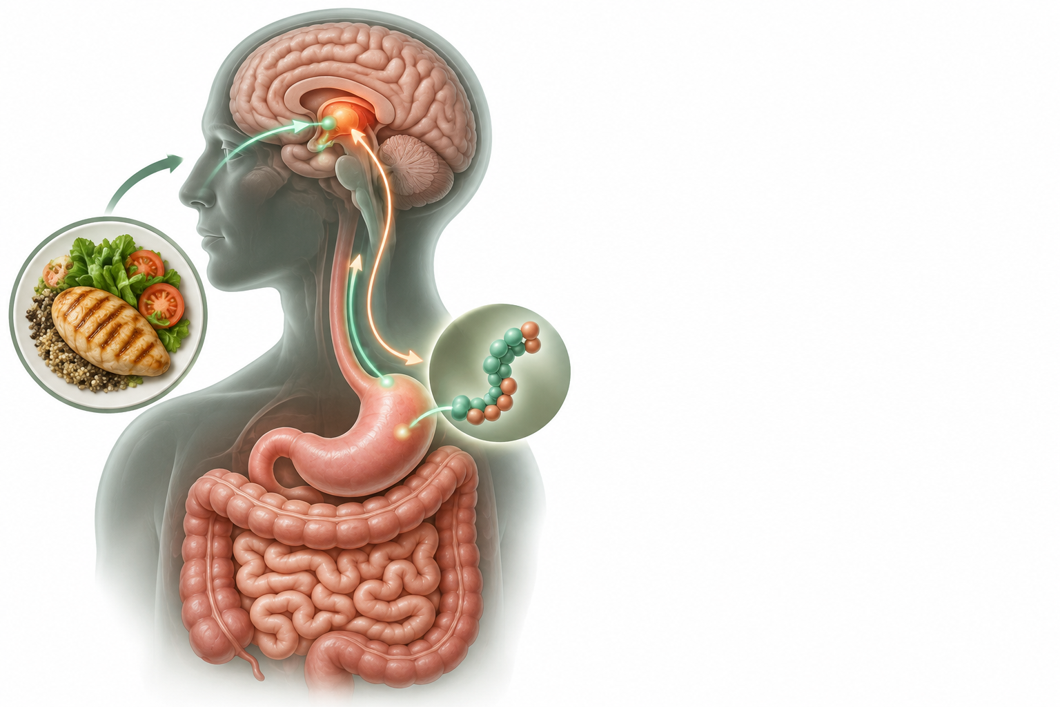 كالسيوم.كوليكالسيفرول (فيتامين دي).فيتامين ب12 | calcium, colecalciferol, cyanocobalamin — رسم توضيحي لفئة شهية