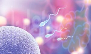 Balanitis | التهاب الحشفة