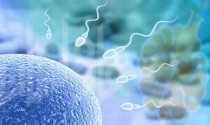 Hypospadias | المبال التحتاني