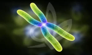 علاج جيني واعد لمرض الثلاسيميا