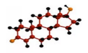 تأثير التستوستيرون على استقلاب الدهون