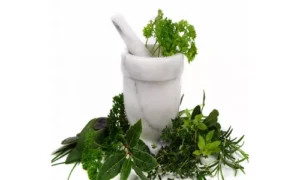 تحذير من أعشاب التنحيف الضارة