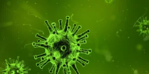 زراعة الفطريات | Fungal Culture Test